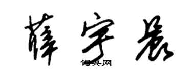 朱錫榮薛宇晨草書個性簽名怎么寫