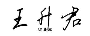 王正良王升君行書個性簽名怎么寫