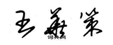 朱錫榮王華策草書個性簽名怎么寫