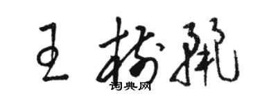 駱恆光王樹麗草書個性簽名怎么寫