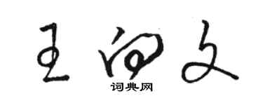 駱恆光王向文草書個性簽名怎么寫