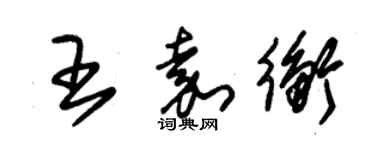 朱錫榮王嘉衡草書個性簽名怎么寫