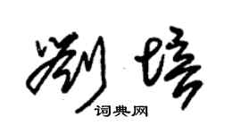 朱錫榮劉培草書個性簽名怎么寫