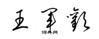 梁錦英王軍歡草書個性簽名怎么寫