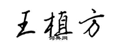 王正良王植方行書個性簽名怎么寫