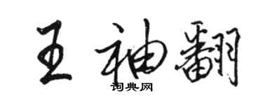 駱恆光王袖翻行書個性簽名怎么寫