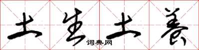 朱錫榮土生土養草書怎么寫