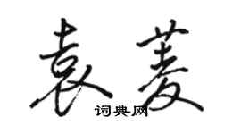 駱恆光袁菱行書個性簽名怎么寫