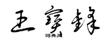 曾慶福王寶鋒草書個性簽名怎么寫