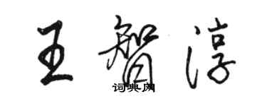 駱恆光王智淳行書個性簽名怎么寫