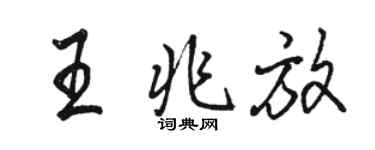 駱恆光王兆放行書個性簽名怎么寫