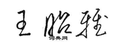 駱恆光王昭雅草書個性簽名怎么寫