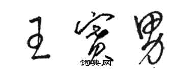 駱恆光王賽男草書個性簽名怎么寫