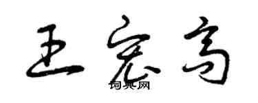 曾慶福王宏高草書個性簽名怎么寫