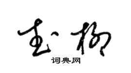 梁錦英武柳草書個性簽名怎么寫