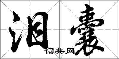 胡問遂淚囊行書怎么寫