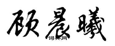 胡問遂顧晨曦行書個性簽名怎么寫