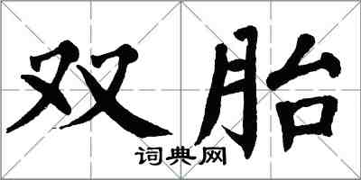翁闓運雙胎楷書怎么寫