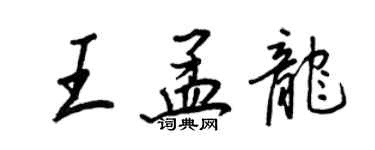 王正良王孟龍行書個性簽名怎么寫
