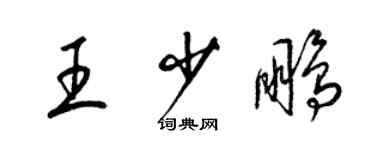 梁錦英王少鵬草書個性簽名怎么寫