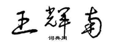 曾慶福王輝南草書個性簽名怎么寫