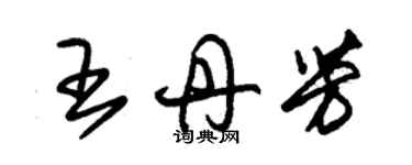 朱錫榮王丹芳草書個性簽名怎么寫