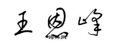 梁錦英王恩峰草書個性簽名怎么寫