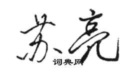 駱恆光蘇亮行書個性簽名怎么寫