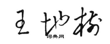 駱恆光王地樹草書個性簽名怎么寫