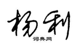 朱錫榮楊利草書個性簽名怎么寫