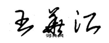 朱錫榮王華江草書個性簽名怎么寫