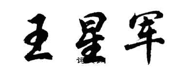 胡問遂王星軍行書個性簽名怎么寫