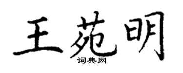 丁謙王苑明楷書個性簽名怎么寫