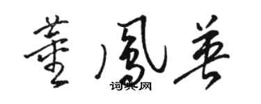 駱恆光董鳳英草書個性簽名怎么寫