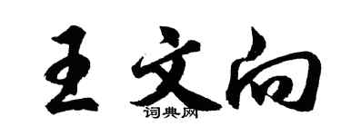 胡問遂王文向行書個性簽名怎么寫