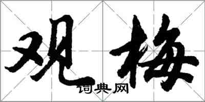 胡問遂觀梅行書怎么寫