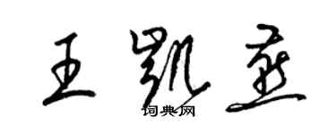 梁錦英王凱燕草書個性簽名怎么寫