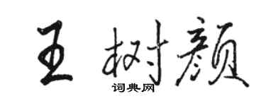 駱恆光王樹顏行書個性簽名怎么寫
