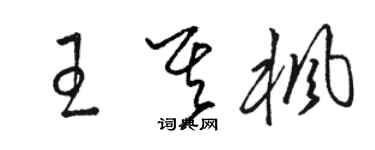 駱恆光王其楓草書個性簽名怎么寫