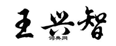 胡問遂王興智行書個性簽名怎么寫