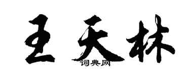 胡問遂王天林行書個性簽名怎么寫