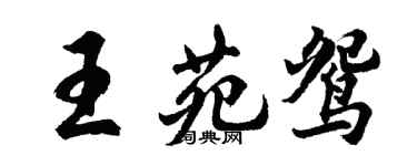 胡問遂王苑鴛行書個性簽名怎么寫