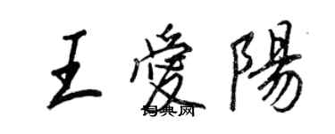 王正良王愛陽行書個性簽名怎么寫
