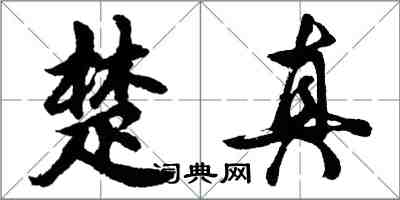 胡問遂楚真行書怎么寫