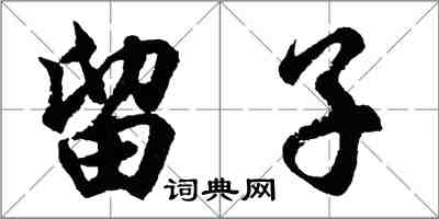 胡問遂留子行書怎么寫