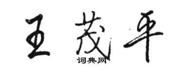 駱恆光王茂平行書個性簽名怎么寫