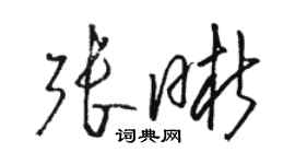 駱恆光張晰草書個性簽名怎么寫