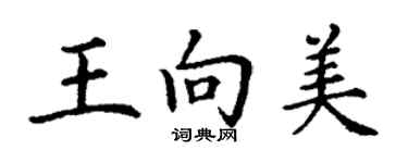 丁謙王向美楷書個性簽名怎么寫