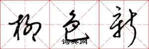 梁錦英柳色新草書怎么寫