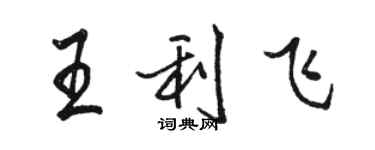 駱恆光王利飛行書個性簽名怎么寫